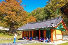 [포토] 파주 율곡선생유적지 단풍절정