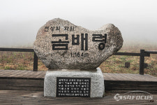 천상의 화원 점봉산 곰배령