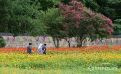 경주시. 서라벌 황금정원 조성