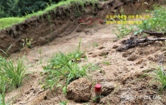 영주시 A국장, 시유지 임야 불법 훼손 의혹