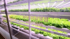 [포토] 이케아, 2023 비즈니스 전략 발표 및 광명점 지속가능성 환경