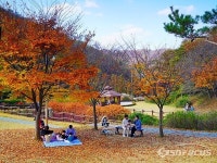 [포토] 파주 율곡수목원 ··· 가을을 즐기다