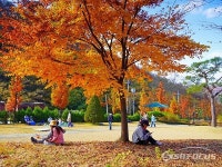 [포토] 파주 율곡수목원 ··· 가을을 즐기다