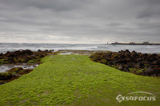 [포토] 제주도 해녀길...해녀들의 애환이 서려있는 길