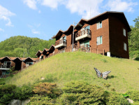 의성 금봉자연휴양림, 다양한 야생화가 피는 휴식 공간 제공 