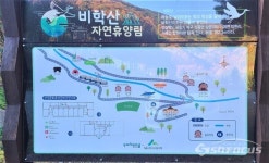 경북 자연휴양림, 추석연휴 휴식 명소···최고 인기