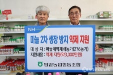 땅끝농협, 마늘 계약재배농가…2차생장 방지 약제 무상 지원