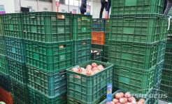 안동농협 조합원들, 공판장 사과상자 망실 손해··· 수사 촉구