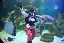 울진군, 왕피천공원서 추석 연휴 이벤트 진행