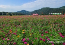 산소카페 청송군, 청송정원 꽃길 음악회 개최