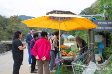 [포토] 강원도 고성 왕곡마을… 정취