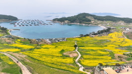 완도 청산도, 2024 한국 관광의 별 선정
