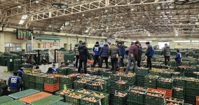 안동농협 농산물공판장,지역농협 최초 매출 3600억 돌파