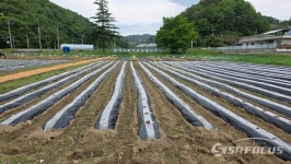 영덕교육지원청, 폐교 활용 생태체험학습장 조성