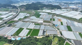 성주군, 성주2산단 연결도로 임시 개통…물류·주민 교통 편의 개선 기대