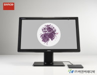 씨앤씨메디텍, 디지털 병리 시스템 위한 병리학 전용 모니터 출시