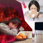 사우나라, 이동식 찜질방 가정용 접이식 건식사우나 출시