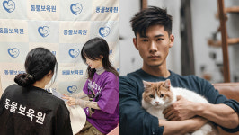 동물보육원, 파양된 강아지·고양이 입양시 신원학인..유기·학대 막는다