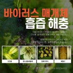 와이앤바이오, 친환경 해충 유인제 및 농작물 해충 방제법 현장 지도