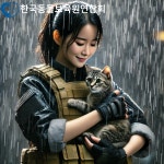 동물보육원, 장마철 길고양이·유기견 구조 전문 팀 구성
