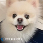 한국동물보육원연합회, 강아지·고양이 파양 접수 확대…새 가정 연결 주도