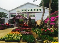 허브아일랜드에서 놀면서 건강 챙기세요