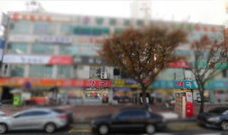 조양호 회장 면대의심약국 문닫자 주변 약국 북새통