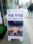 지차제 동물약국 약사감시 실시…업무상 혼선 주의 필요