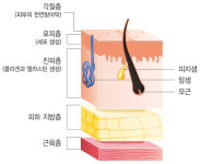 가벼운 화상에 사용하는 일반약 이렇게 추천하라!