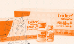 4월이면 마취 깨지듯, 한꺼번에 나올 브리디온주 제네릭?