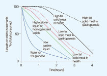 탄수화물 섭취 골든타임은 언제일까?