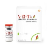 한국GSK IL-5 억제제 누칼라주 중증 호산구성 천식환자 급여 적용