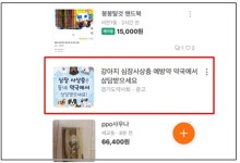 경기, 당근마켓 동물약국 홍보서비스 시작