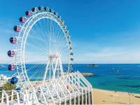 [약사, 문학을 말하다] 속초 아이