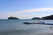 바다와 꽃을 동시에 볼 수 있는 ‘남해 미조튤립축제 및 카약축제’ 개막