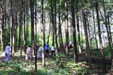 암 자연치유 명문요양병원, 풍욕과 함께하는 ‘암 희망나눔 스테이’ 무료 체험