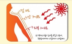 ‘뿌리는 핫팩 쏠라필’ 제조회사 벤텍스, 동탑산업훈장 수상