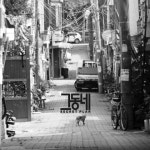 시크릿 플랜, 24일 정오 두 번째 싱글 ‘그동네’ 발매