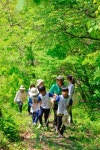 녹색교육센터, 소외계층 아동을 위한 숲생태감수성 향상 프로젝트 ‘와숲’ 사업보고회 개최