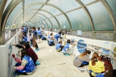 삼성화재 임직원-경인여대 학생들, 서울정진학교에 장애학생 학습용 벽화 제작