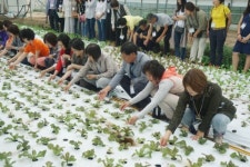 충주 장안농장, 핵심 소비자와 함께하는 친환경농업 현장체험 4번째 여정 진행