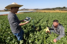 KT, 농정원과 AI 기반 노지채소 스마트팜 구축