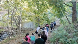 한국청소년상담복지개발원, 학교 밖 청소년과 함께하는 숲체험캠프 실시