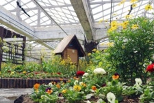 봄맞이 단장 마친 서울숲 나비정원, 5월 1일 개장