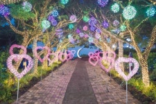 9월 제주도 가볼 만한 곳, 제주허브동산 추석 맞이 경로우대 무료 입장 이벤트 개최