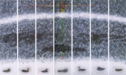 동덕여대, 제주 연수원 내 ‘피움갤러리’ 개관 기념전 개최