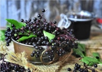 윙코푸드, 엘더베리 전문 어린이 건강기능식품 키즈튼튼 젤리 출시