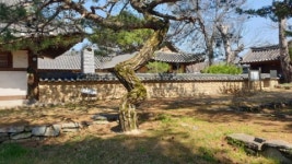 명품고택조견당, 문화공간 산업 추진 위한 와디즈 펀딩 성황리 종료