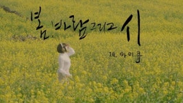 아이큐, 봄의 활력을 되찾아 줄 ‘봄, 바람 그리고 시’로 컴백