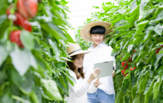 한국농수산대학, 수시모집 특별전형 경쟁률 4.46:1